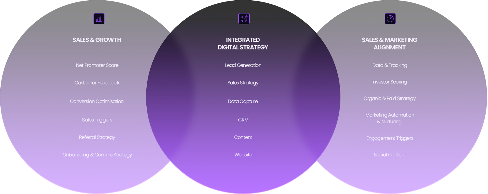 IntegratedDigitalStrategy-Asset IntegratedDigitalStrategy-Asset
